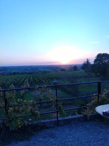 Domaine Des Ortinieres Villa Beaulieu-sur-Layon Eksteriør billede